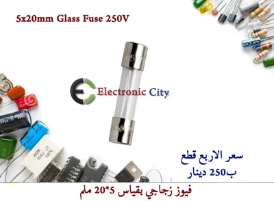 5x20mm Glass Fuse 250V       (4Pcs/Lot)